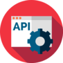 API Integration